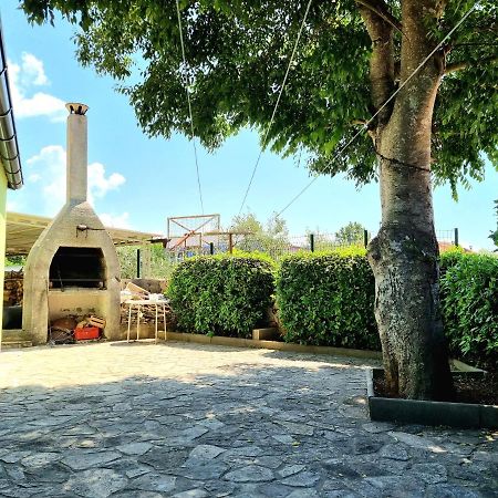 Studio Apartment Lino Skrbčići Εξωτερικό φωτογραφία